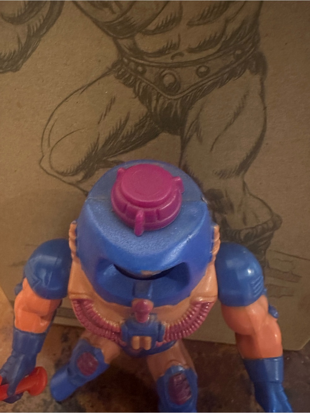 Motu - Picture 5 of 12